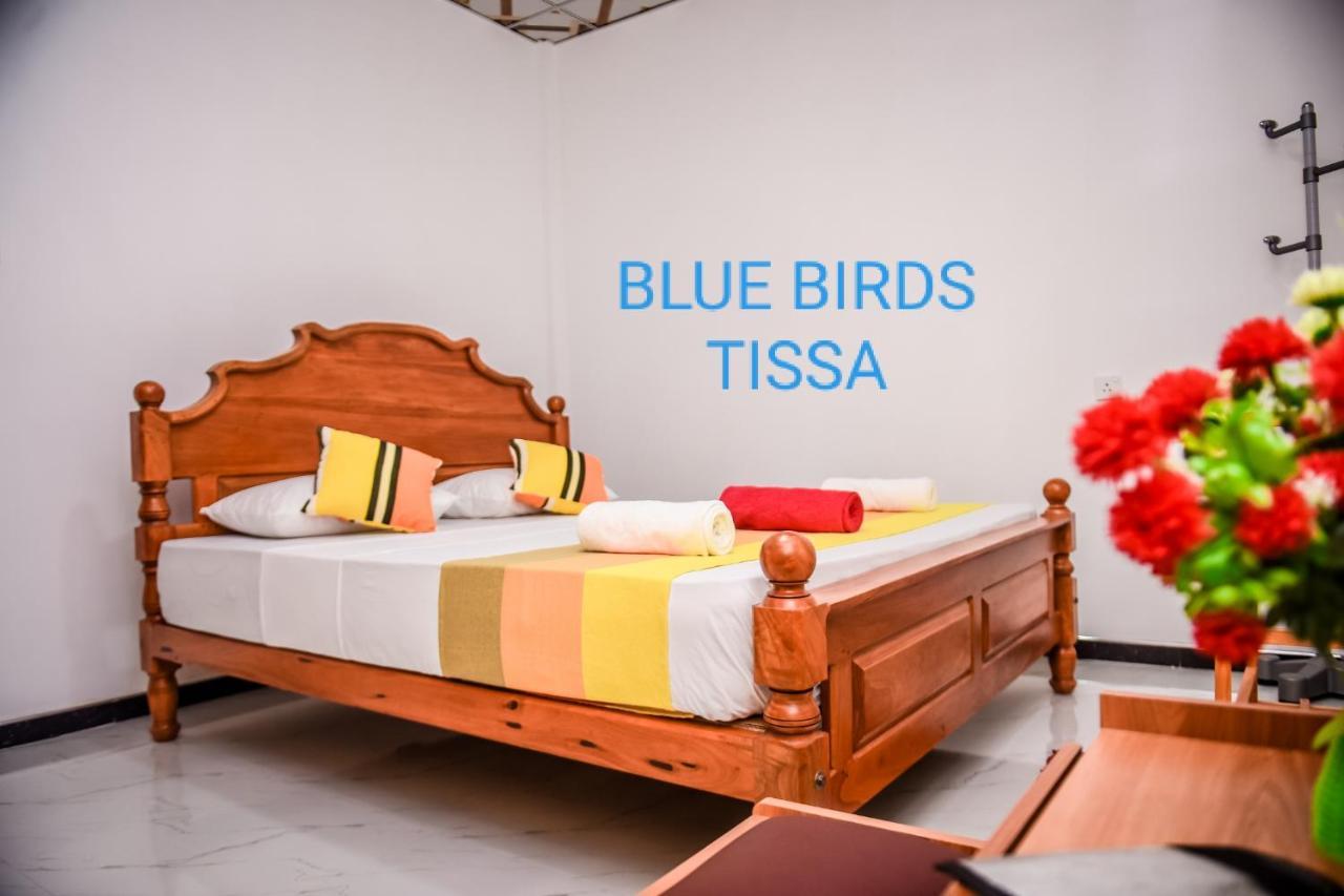 蒂瑟默哈拉默 Blue Birds Tissa & Yala Safari酒店 外观 照片
